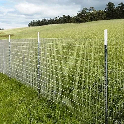 Rural landscape with wire fencing