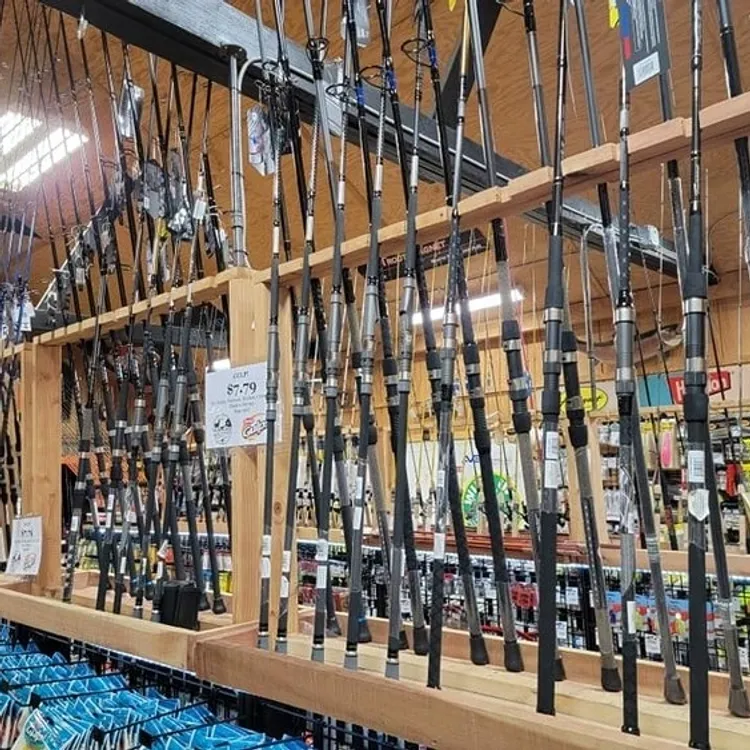 Assortment of fishing rods on shelves