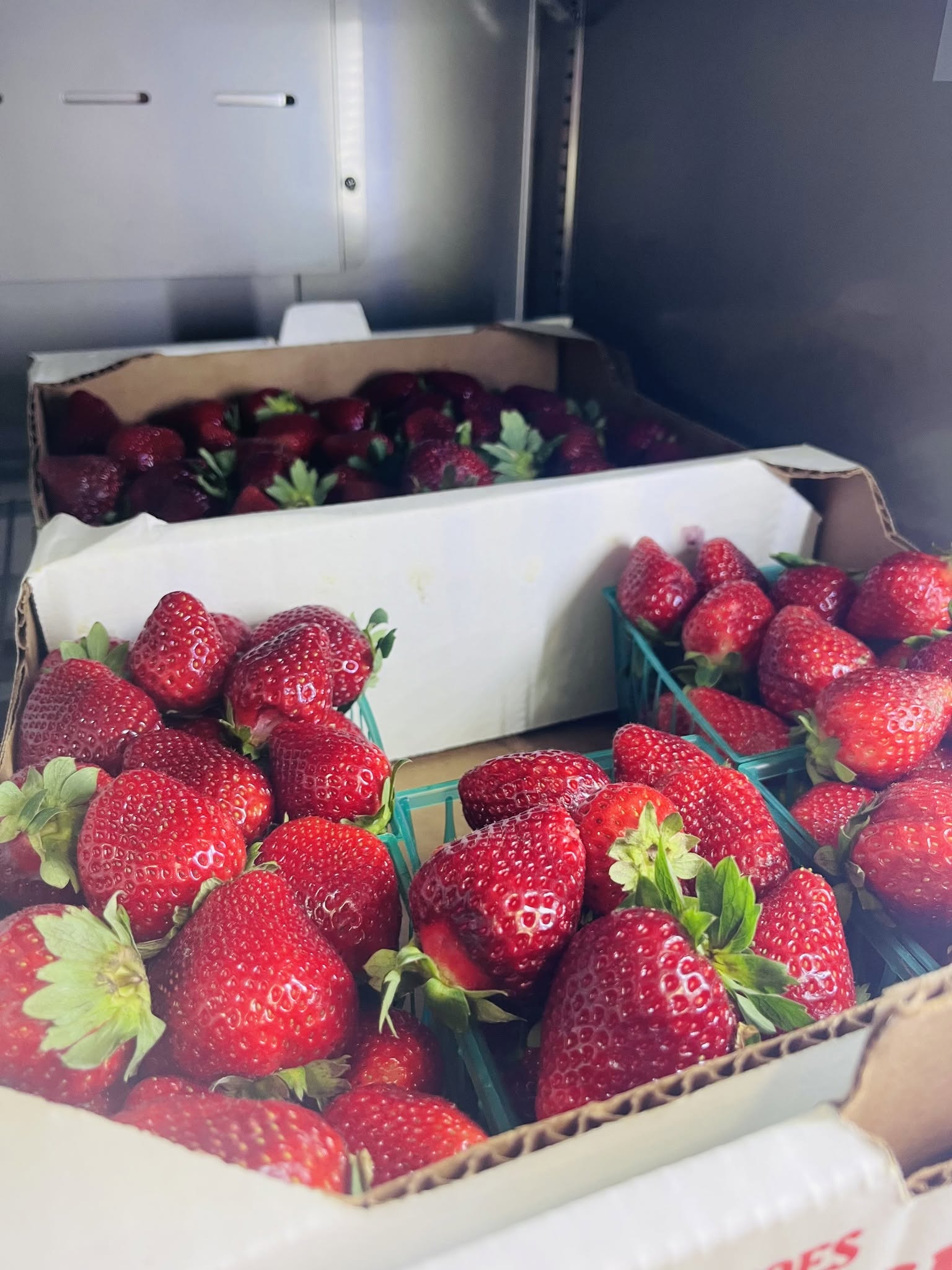 Fresh ripe strawberries in cardboard trays